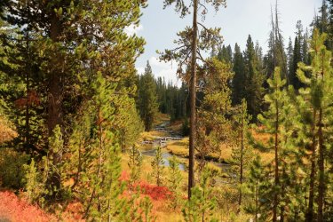 5J5A9071.JPG 5J5A9071.JPG