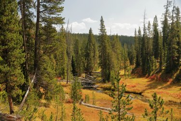 5J5A9074.JPG 5J5A9074.JPG