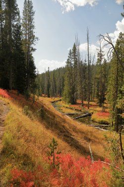 5J5A9075.JPG 5J5A9075.JPG