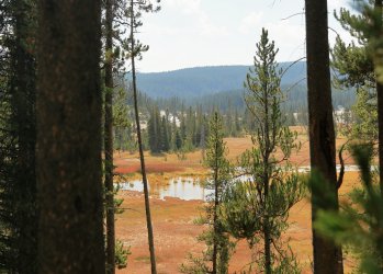 5J5A9076.JPG 5J5A9076.JPG