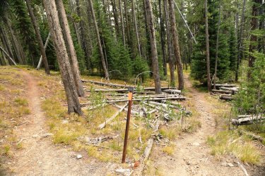 5J5A9079.JPG 5J5A9079.JPG