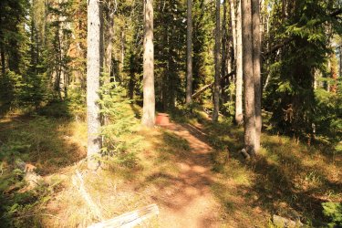 5J5A9085.JPG 5J5A9085.JPG