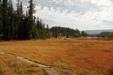 5J5A9089.JPG 5J5A9089.JPG