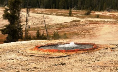 5J5A9096.JPG 5J5A9096.JPG