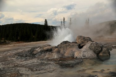 5J5A9101A.JPG 5J5A9101A.JPG