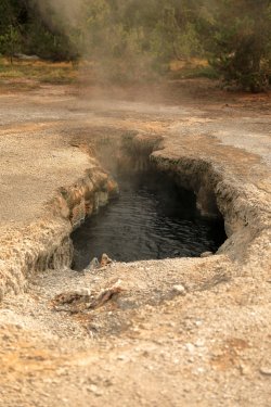 5J5A9114.JPG 5J5A9114.JPG