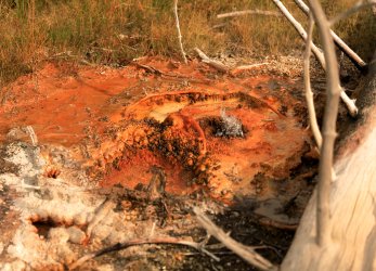 5J5A9122.JPG 5J5A9122.JPG