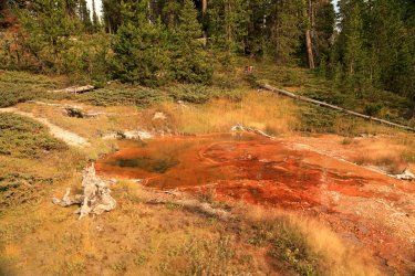 5J5A9126.JPG 5J5A9126.JPG