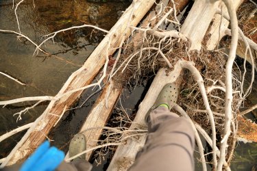 5J5A9127.JPG 5J5A9127.JPG