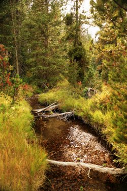 5J5A9130.JPG 5J5A9130.JPG