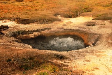 5J5A9133.JPG 5J5A9133.JPG