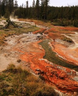 5J5A9136.JPG 5J5A9136.JPG