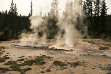 5J5A9139.JPG 5J5A9139.JPG