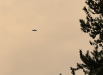 5J5A9156.JPG 5J5A9156.JPG