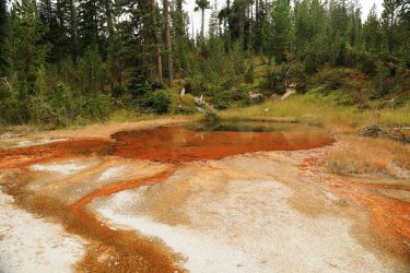 5J5A9155.JPG 5J5A9155.JPG