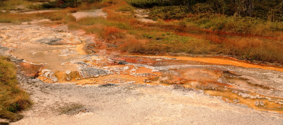 5J5A9157.JPG 5J5A9157.JPG