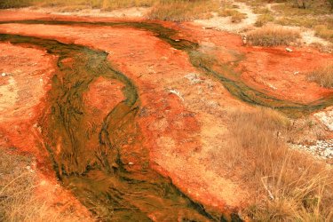 5J5A9163.JPG 5J5A9163.JPG