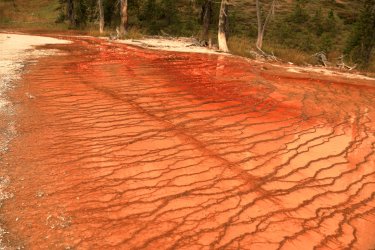 5J5A9166.JPG 5J5A9166.JPG