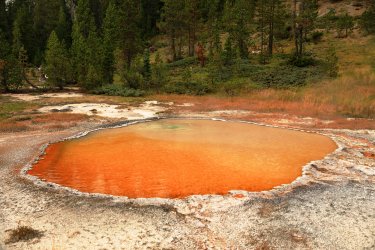 5J5A9167.JPG 5J5A9167.JPG