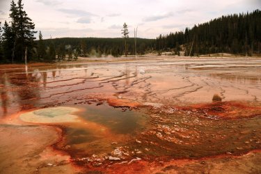 5J5A9174.JPG 5J5A9174.JPG