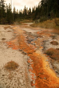 5J5A9175.JPG 5J5A9175.JPG