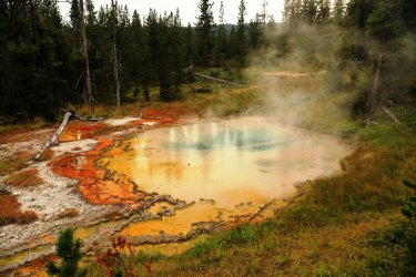 5J5A9176.JPG 5J5A9176.JPG