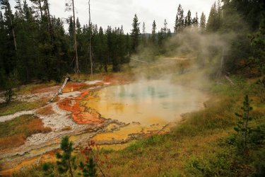 5J5A9177.JPG 5J5A9177.JPG