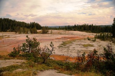 5J5A9178.JPG 5J5A9178.JPG