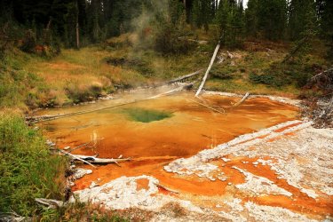 5J5A9185A.JPG 5J5A9185A.JPG