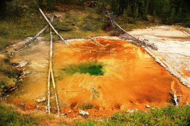 5J5A9186A.JPG 5J5A9186A.JPG