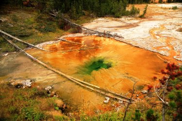 5J5A9187.JPG 5J5A9187.JPG