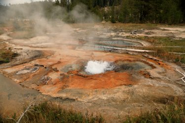 5J5A9190.JPG 5J5A9190.JPG