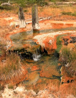 5J5A9192A.JPG 5J5A9192A.JPG