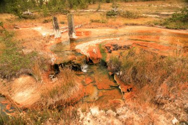 5J5A9193A.JPG 5J5A9193A.JPG