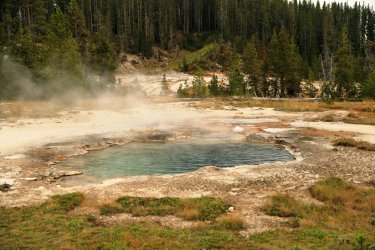 5J5A9195.JPG 5J5A9195.JPG