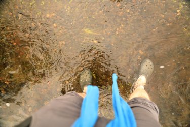 5J5A9206.JPG 5J5A9206.JPG