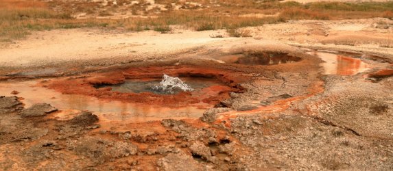 5J5A9209.JPG 5J5A9209.JPG