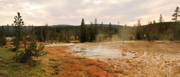 5J5A9219.JPG 5J5A9219.JPG