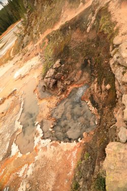 5J5A9221.JPG 5J5A9221.JPG