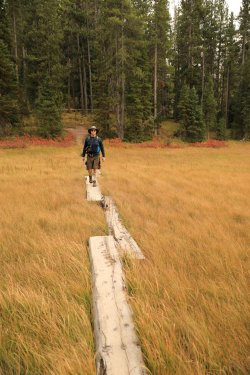 5J5A9224.JPG 5J5A9224.JPG