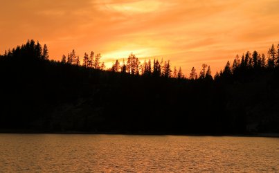 5J5A9239A.JPG 5J5A9239A.JPG