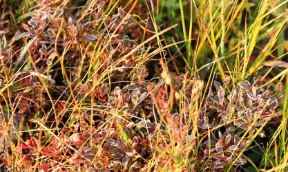 5J5A9281.JPG 5J5A9281.JPG