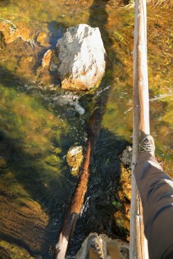 5J5A9282.JPG 5J5A9282.JPG