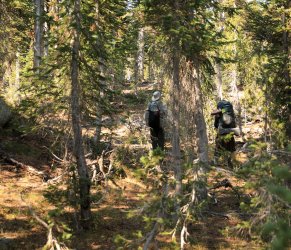 5J5A9291.JPG 5J5A9291.JPG