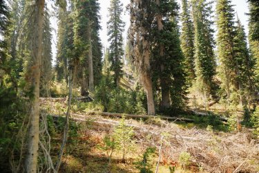 5J5A9303.JPG 5J5A9303.JPG