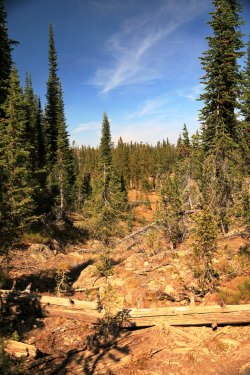 5J5A9306.JPG 5J5A9306.JPG