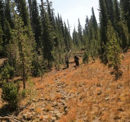 5J5A9308.JPG 5J5A9308.JPG