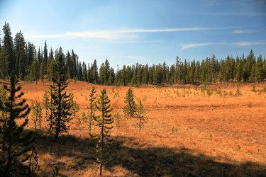 5J5A9311.JPG 5J5A9311.JPG