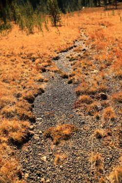 5J5A9313.JPG 5J5A9313.JPG