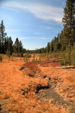 5J5A9317.JPG 5J5A9317.JPG